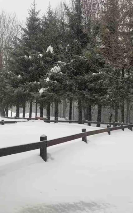Appartamento Ampio Giardino Adiacente Piste Sci 4/6 Posti Letto La Thuile Exteriör bild